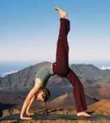 alternativeconsumer.com Ayoga