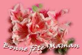 chezrenejeanine.net Azale