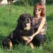 Azka