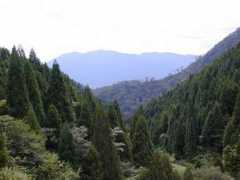 Azouzi