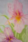 artwanted.com Azzolino