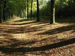 Baarn