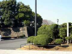 Babasaki