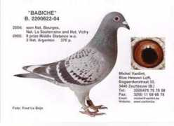Babiche