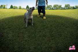 Babol