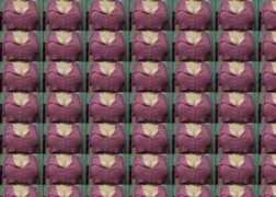 ytmnd.com Baboom