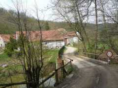 Babovec