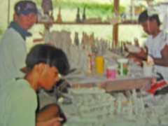 evacf.org Bacalor