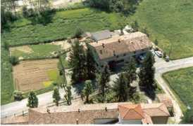 Bacchini