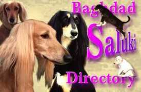 Baddir