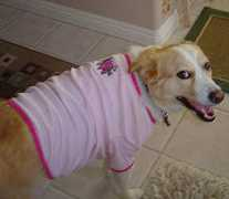 badbones.com Baddog