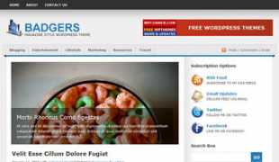 themegrade.com Badgers