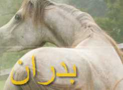 Badraan