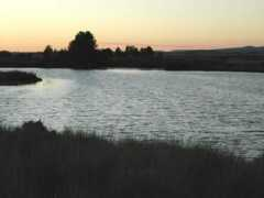 oregoncountryrealty.com Baert