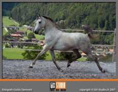 gix-studio.ch Bafran