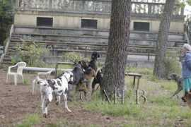 Baghia