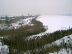 pics.website.pl Bagier
