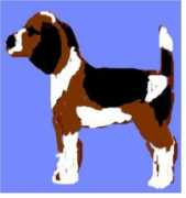 kyleewood.com Bagle