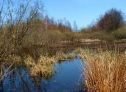 Bagna
