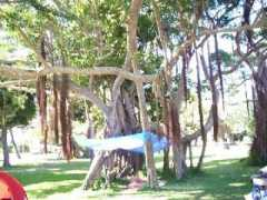 Bagnan
