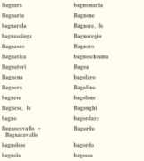 dizionario.rai.it Bagnatori