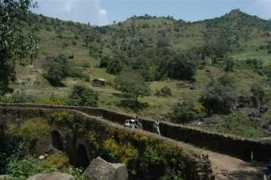 Bahardar