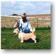 mccormac.dk Bahee