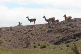 Bahias