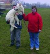 Baico