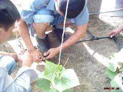 dripirrigation.de Baigal