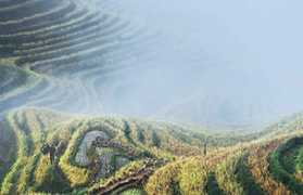 chinadaily.com.cn Bainang