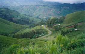 Baingo