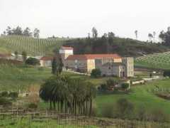 Baion