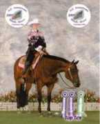 claypointstables.com Bairas
