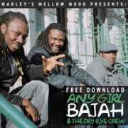 Bajah