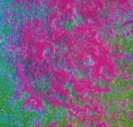weather.msfc.nasa.gov Bajos