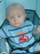 Bajul