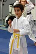 karate-bruxelles.be Bakajika