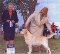 tealwoodkennel.com Bakela