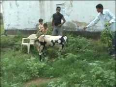 Bakri