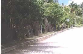 dmgroom.com Balabat