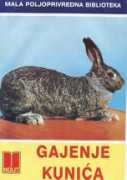 Balalic