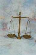 sionsrose.org Balances