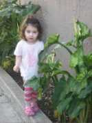 lifewithella.com Balancing