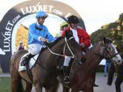 racingwrite.com Balavan
