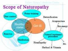 balavinaturalmedicine.com Balavi