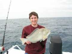 fishwrecked.com Baldie