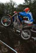 Balducchi