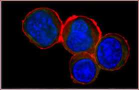 baliga.systemsbiology.net Baliga