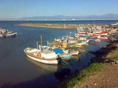 panoramio.com Balikci